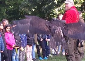 Die Viertklässler der PGS bei den Waldspielen im Burgauer Wald
